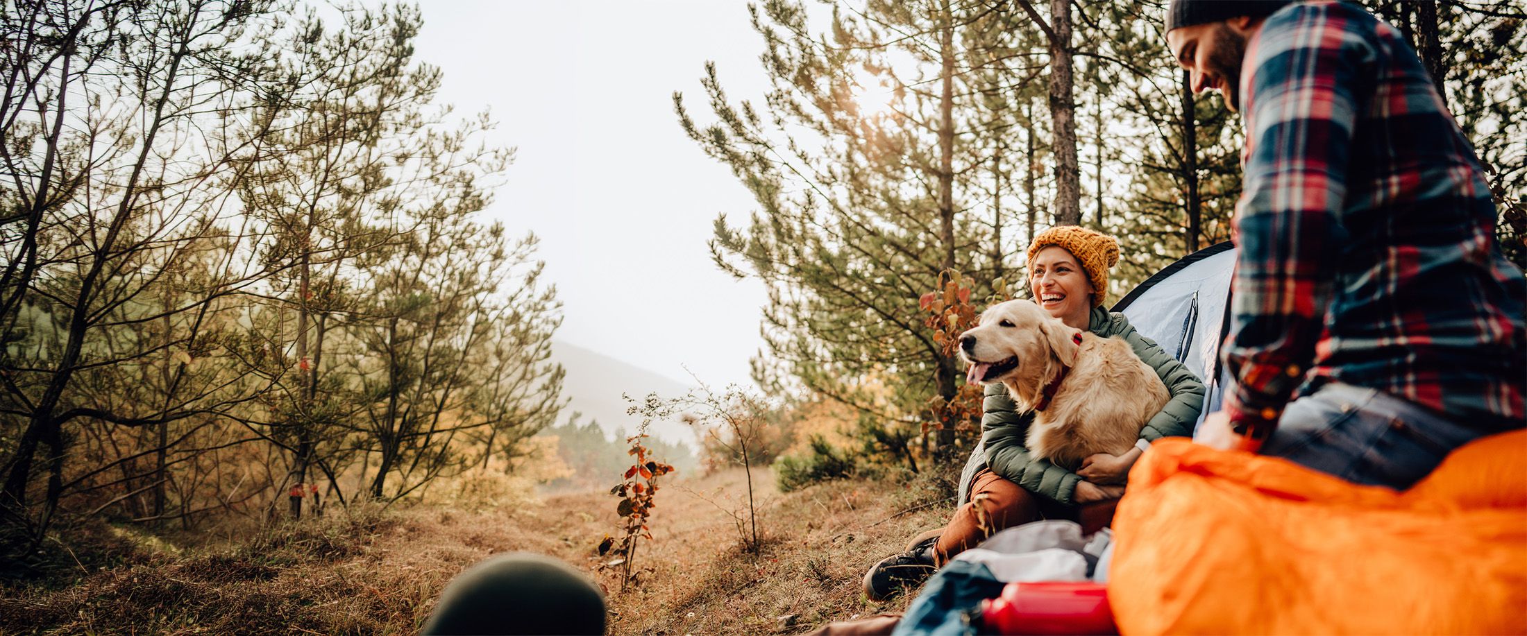 A couple camping in the woods with their golden retriever