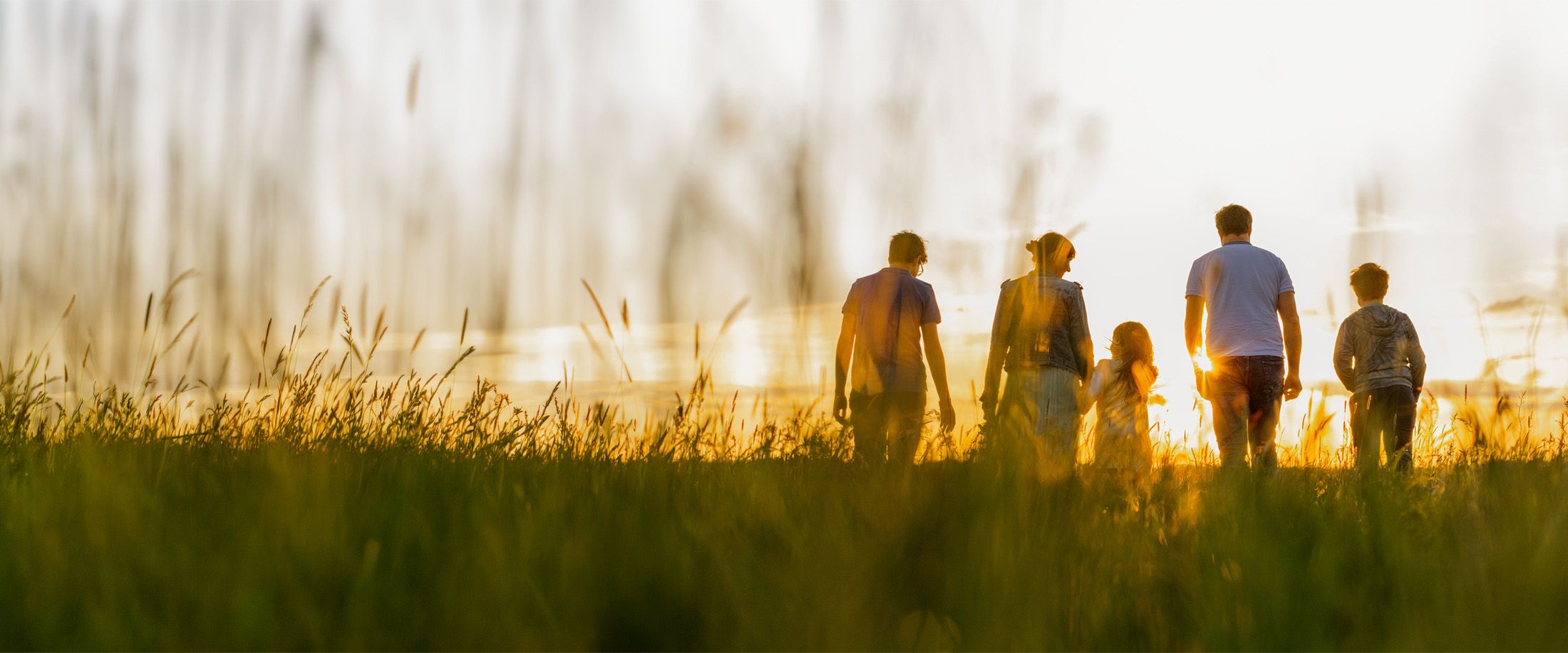 A family walking together through a field at sunset